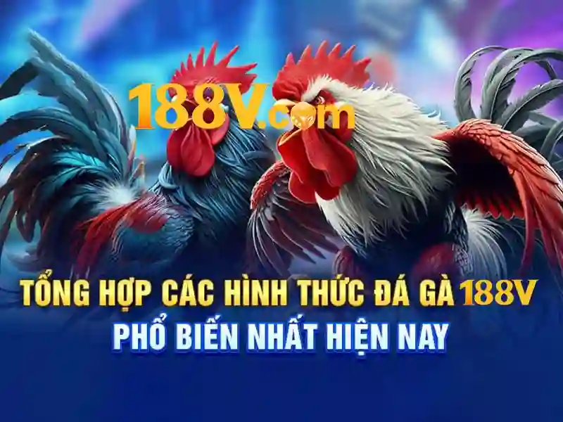 188V – Link Vào Trang Chủ 188V Chính Thức Không Bị Chặn 2026