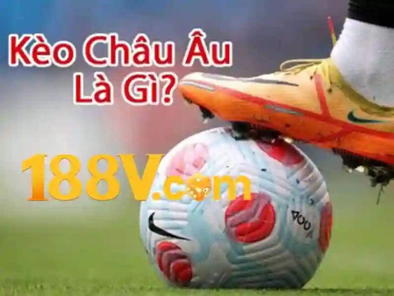 Tỷ Lệ Cược Hấp Dẫn