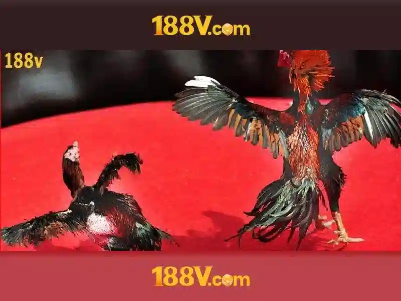 Tải App 188v
