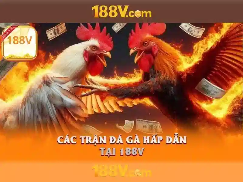 Tải 188v Apk – Trải Nghiệm Tối Ưu Cho Người Chơi