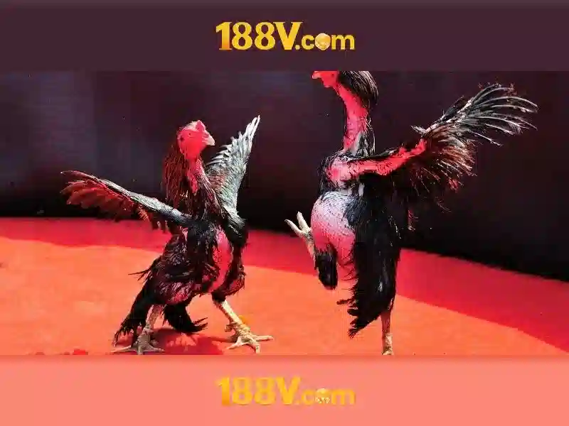 Bảo Mật Thông Tin 188V