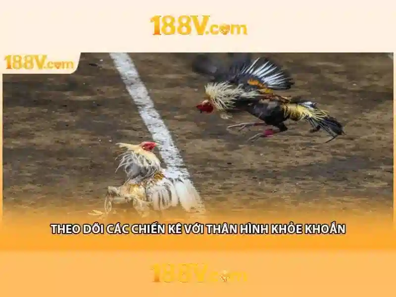 Trải nghiệm Slot độc quyền tại 188V