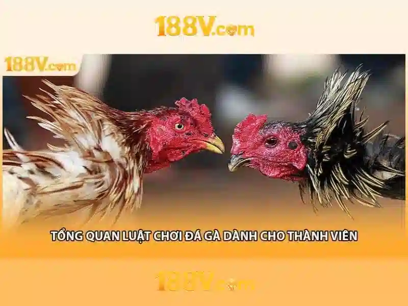 chương trình khuyến mãi 188V
