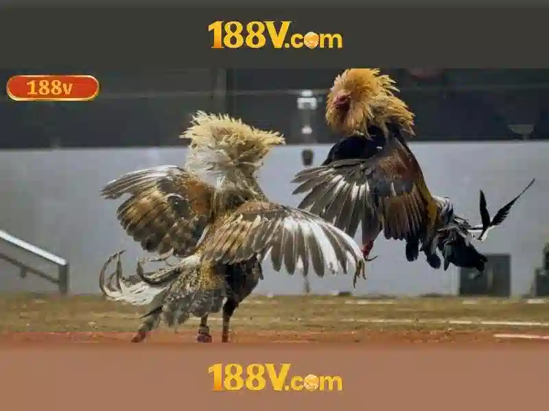 188V – Trải Nghiệm Slot Đỉnh Cao Với Tải App 188V Chính Thức Không Bị Chặn 2026