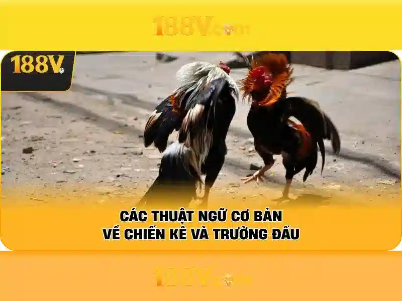 188V – Trang Chủ 188V Chính Thức Không Bị Chặn 2026