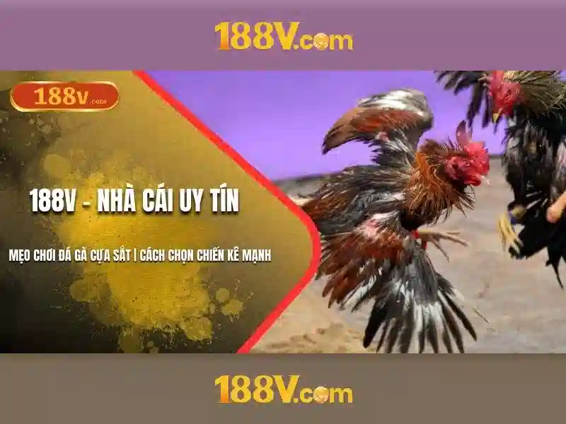 Trải Nghiệm Slot 188V