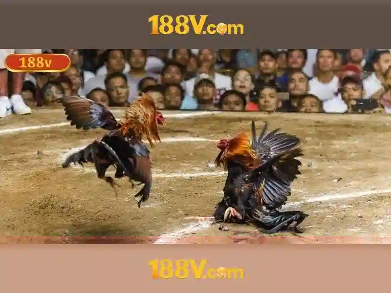 Trải Nghiệm Slot 188V – Tối Ưu Hóa Mỗi Giây