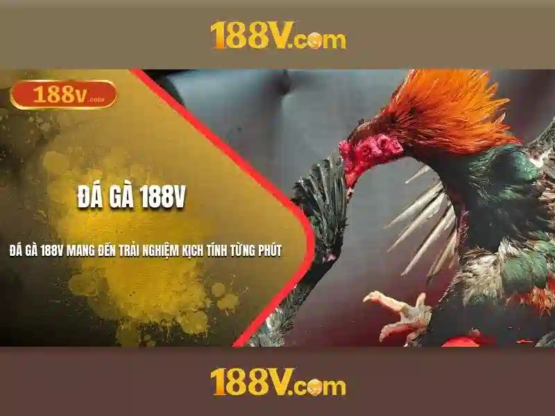 phương thức rút tiền 188V