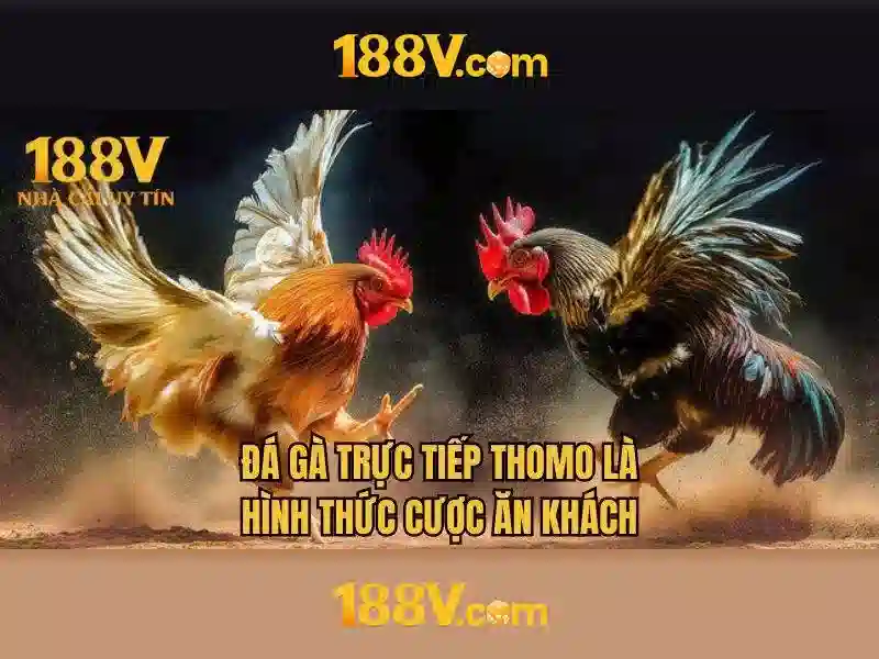 Ưu Đãi Đăng Ký 188V