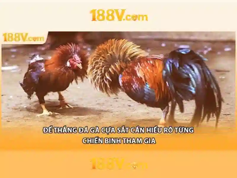 Trải nghiệm Slot 188V trên điện thoại