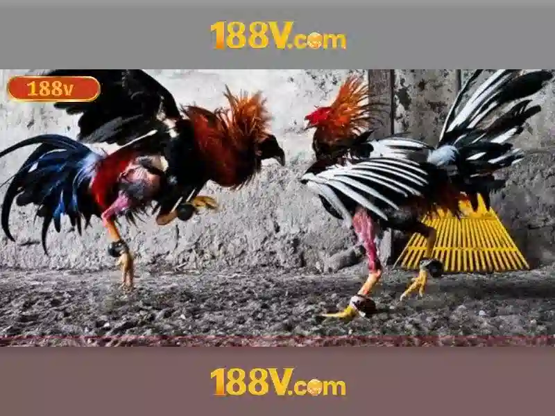Nhà Cái 188v