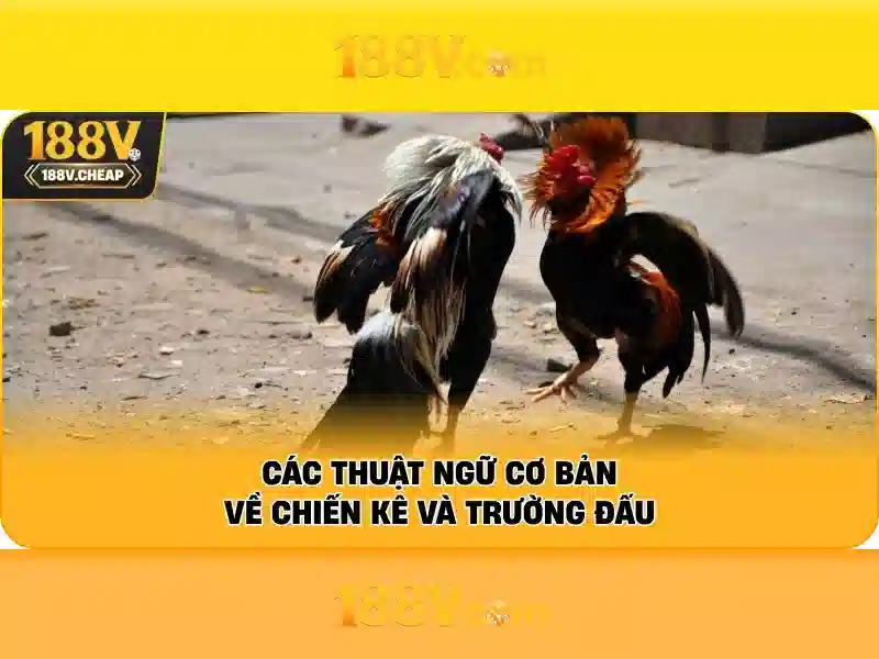 Hướng Dẫn Rút Tiền 188V