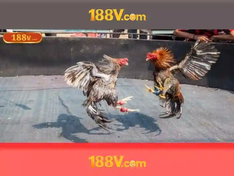 Hệ Thống Khuyến Mãi 188V