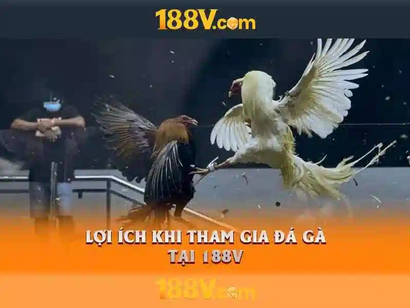 Tải App 188V