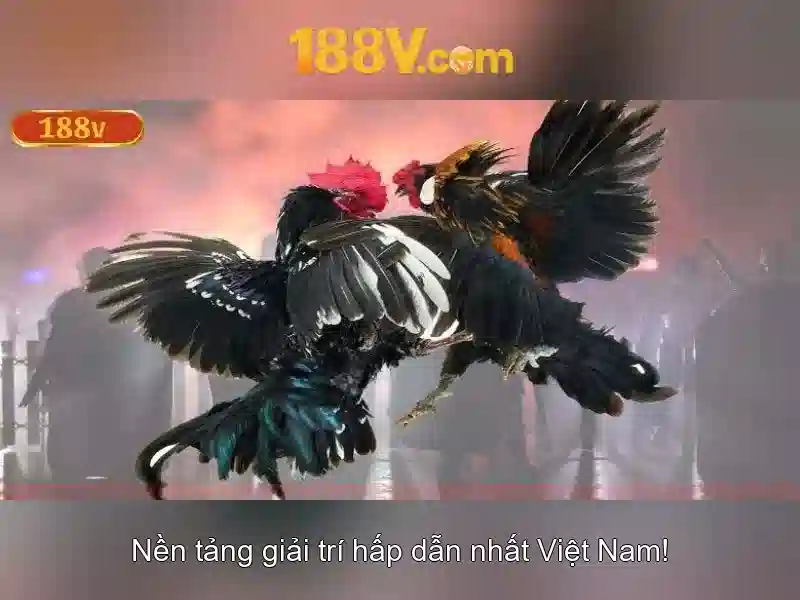 188V – Trang Chủ 188V Chính Thức Không Bị Chặn 2026