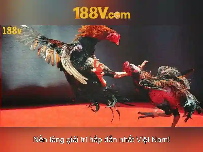 Chương Trình Thưởng – Hướng Dẫn Chi Tiết Cách Nhận Thưởng 188V