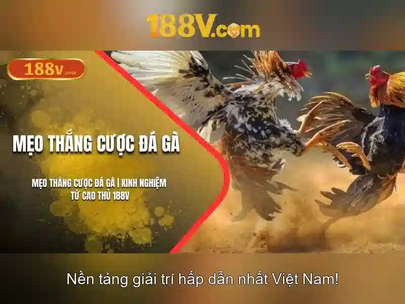 Ưu Điểm Khi Tải 188v