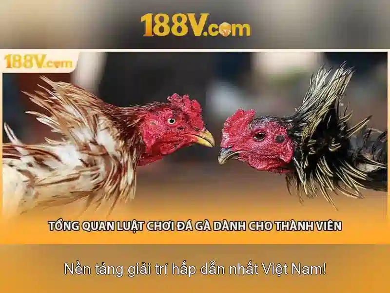 Trải Nghiệm Game Bài 188V