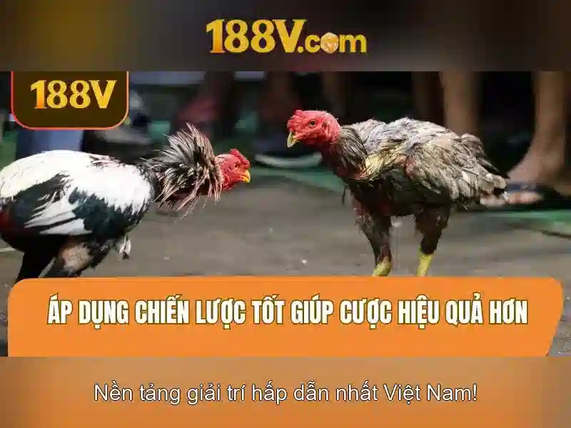 Hướng Dẫn Đăng Ký 188v Nhanh Chóng, An Toàn