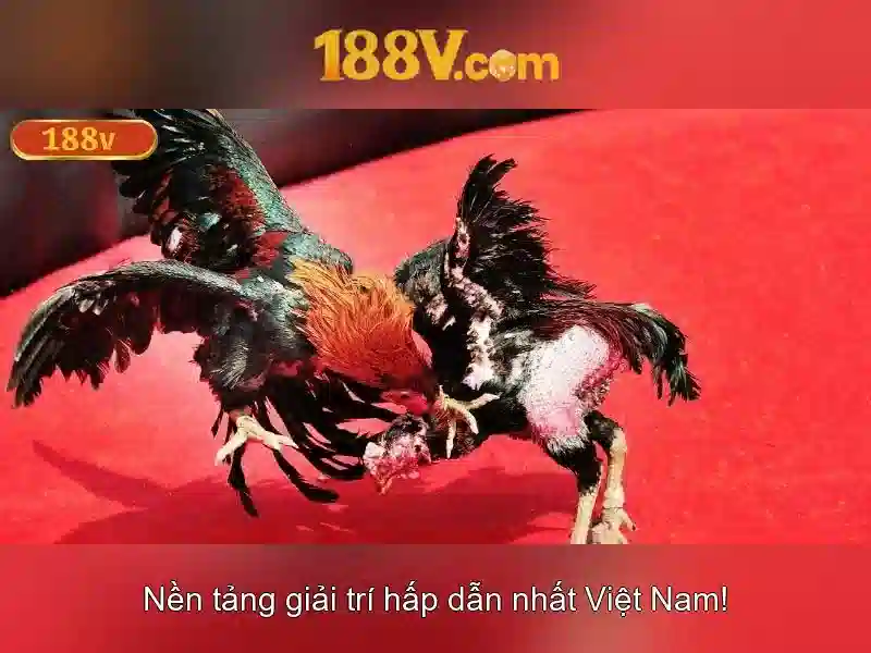 Nhận Thưởng Slot365