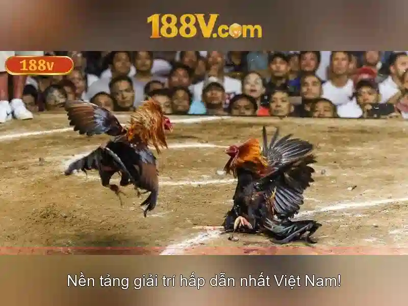 Trải nghiệm slot 188V không bị chặn 2026
