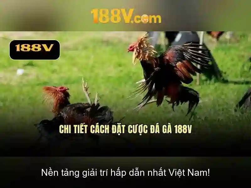 khuyến mãi đặc biệt 188V