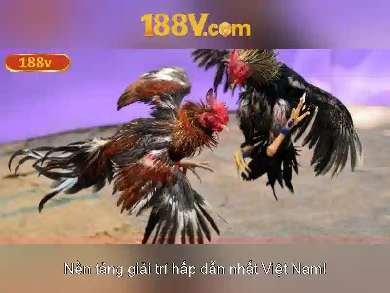Hỗ trợ 188v