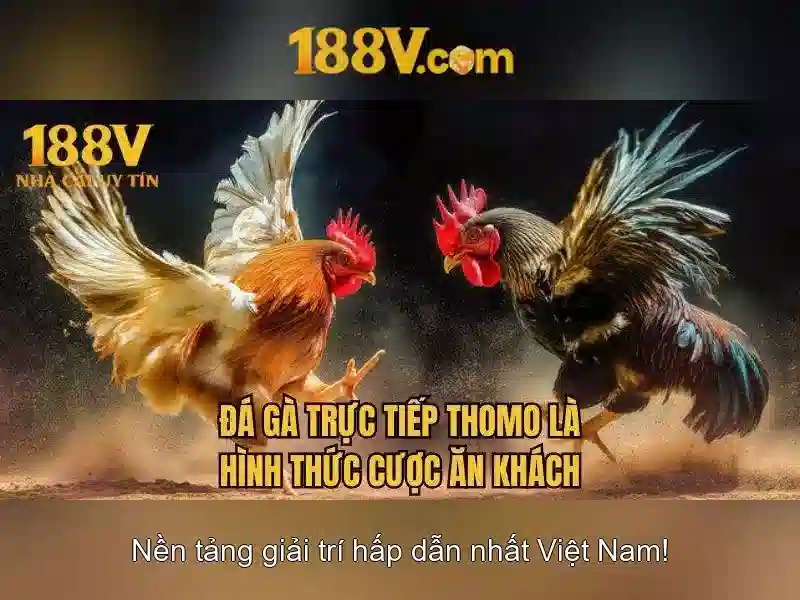 Các loại game 188v đa dạng và hấp dẫn